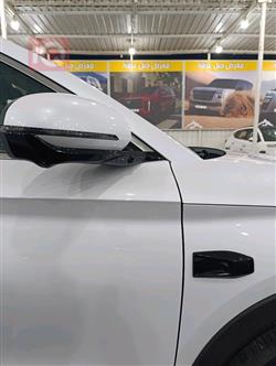 بي واي دي سونغ L DM-i